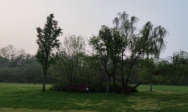 61d3a3b70810f
